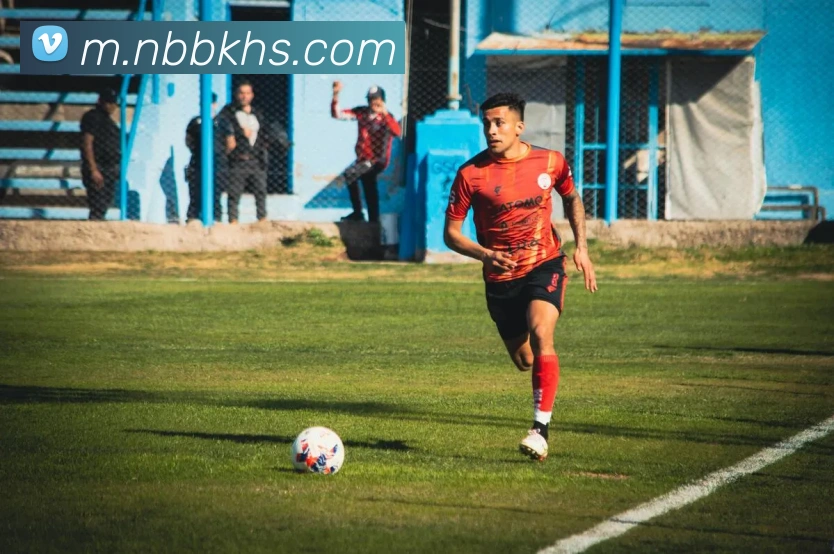 开云体育服务体系